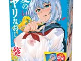 夏のヤリなおし THE HOLE 葵 数量限定版